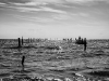 mg_5716-edit