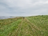 mg_5867-edit