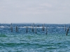 mg_7431-edit